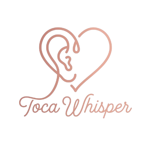 TOCA Logo